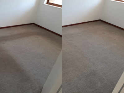carpet 1 scaled carpet 1 scaled