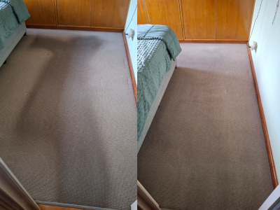 carpet 4 scaled carpet 4 scaled